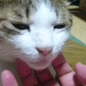 その前にの画像