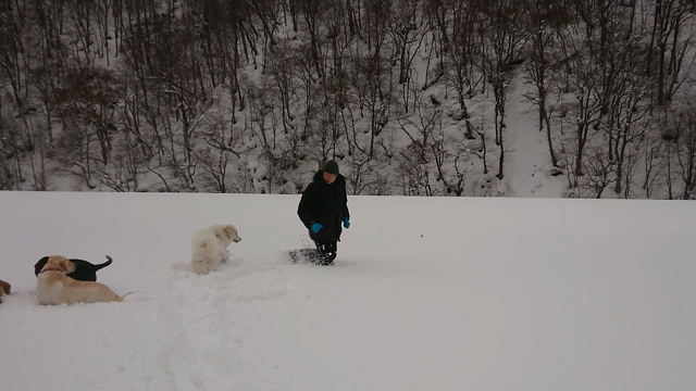 雪遊びなーうの記事動画