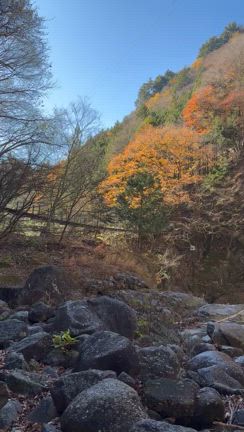 2日間のおやすみ。しっかり休んでリフレッシュできましたーーーの記事動画