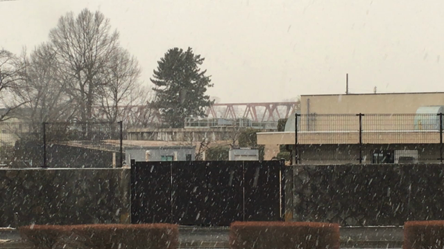 またまた雪ですの記事動画