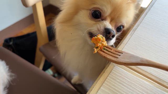 お誕生日なり！の記事動画