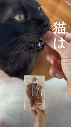 あなたの隠された一面が見たいの記事動画