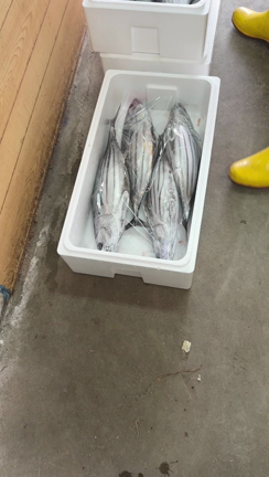 春から夏へさつま汁作ってみました。の記事動画