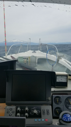 沖メバル調査‼️の記事動画
