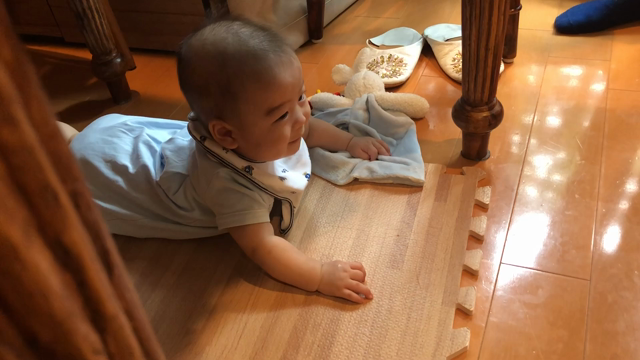 子連れリハーサルの記事動画