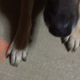今月で終わりの画像
