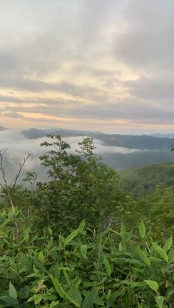 北海道旅行日記♡２日目。雲海と富良野と美味しいものの記事動画