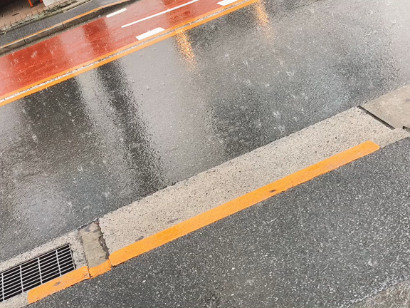 300っぽ( ¨̮ )/の記事動画