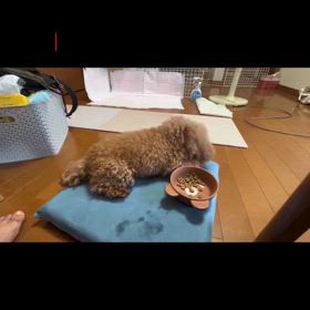 2024/07/18の画像