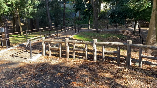 息子と2人紅葉デートしてきました【井の頭公園】の記事動画