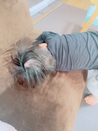ソファを買いましたの記事動画