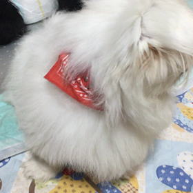 幸次郎❣️発見(๑˃̵ᴗ˂̵)の画像
