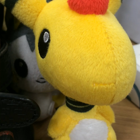 Pちゃんの画像