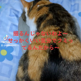 今日はみゅー様の動画どうでしょうの画像