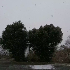 コツコツと。。の画像