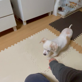マサ君　vol.3の画像