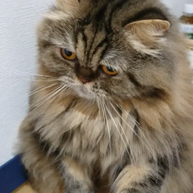 2019/02/16の画像