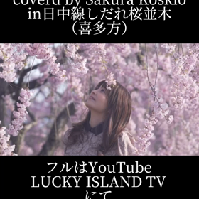 【LUCKY ISLAND TV カバー曲第4弾・春よ、来いin 日中線しだれ桜並木（喜多方）】の画像