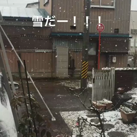 雪の降る街♬の画像