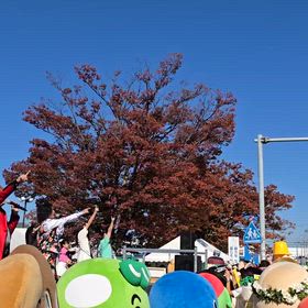 25.11.15世界キャラクターさみっとIN羽生１日目動画の画像