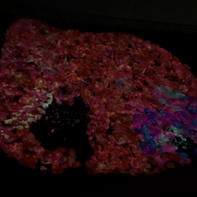 チームラボ舞鶴公園・福岡城跡の画像