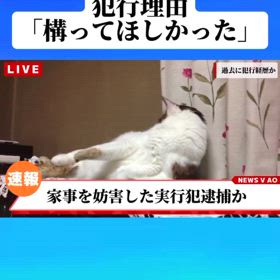 試験勉強終わりましたの画像