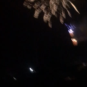 7月28日の画像