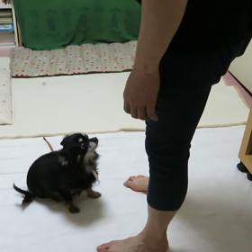 熱い視線(*☻-☻*)の画像