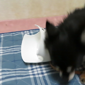 ？？謎？？の画像