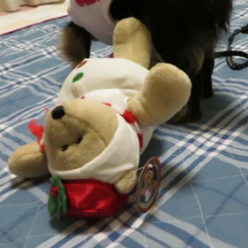 おもちゃ遊び٩( ᐛ )وの画像