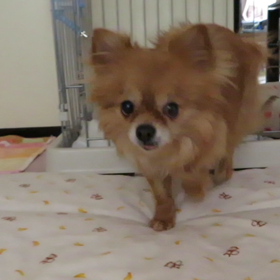 やっと…の画像