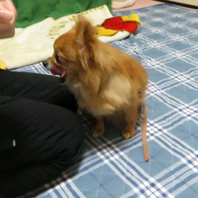 凄いですよの画像