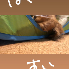 いびきの画像