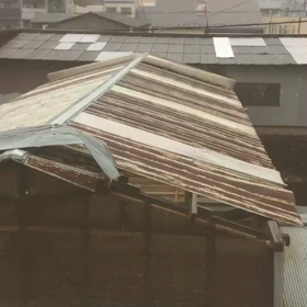 台風の傷痕の画像