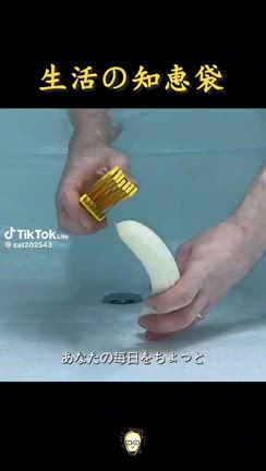 生活の知恵袋ですとの記事動画