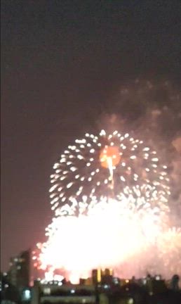 ✷ 花火大会 ✷の記事動画