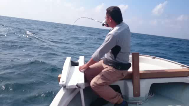 本日の釣果の記事動画
