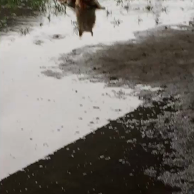 雨が続いておりますが…の画像
