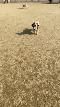ran  ran  ranの記事動画