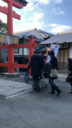 正月2日も動く！の記事動画