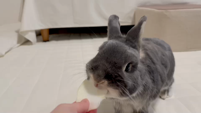 お久しぶりです(⋆ᵕᴗᵕ⋆)"の記事動画
