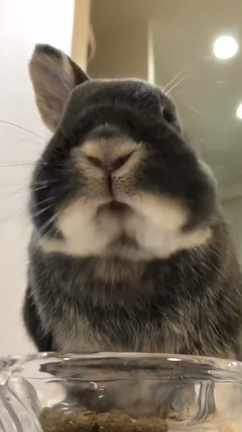 朔の優しさ ♡の記事動画