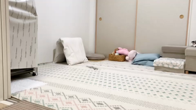 換毛とかくれんぼ♡の記事動画