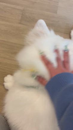 山田さん167度目ましてのブログ。の記事動画