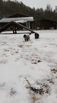 雪遊び　と　特別な場所へ❗の記事動画