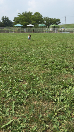 ヌルリと良いお顔の記事動画
