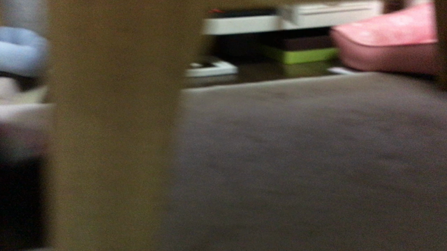 素晴らしい我が子達の記事動画