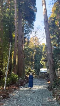 二瀬本神社からだいこんやの記事動画