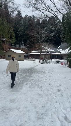 カミツレさんのスイーツから3333段の記事動画