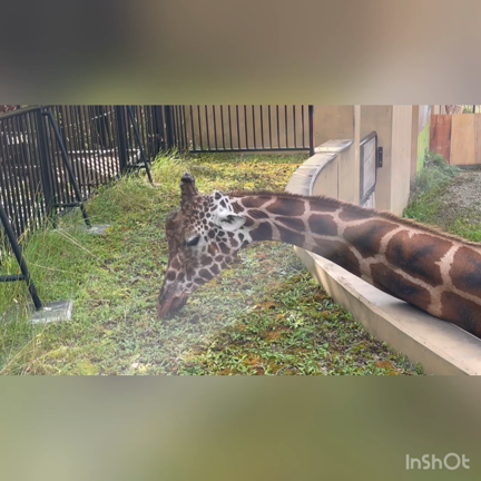 2022北海道旅行⑤旭山動物園の記事動画